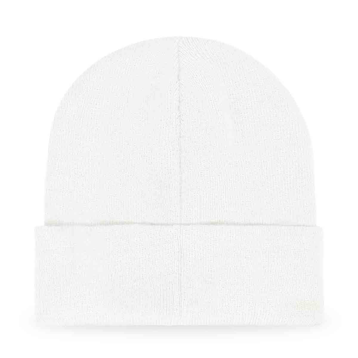 Dalix NASA Worm Logo Beanie