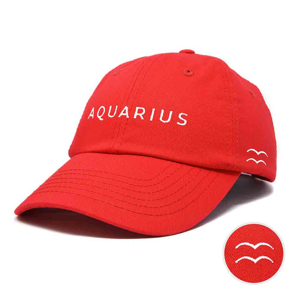 Dalix Aquarius Hat