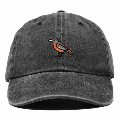 Dalix Oriole Maryland Embroidered Bird Cotton Baseball Cap Dad Hat Mens Womens Outdoor Summer in Washed Black