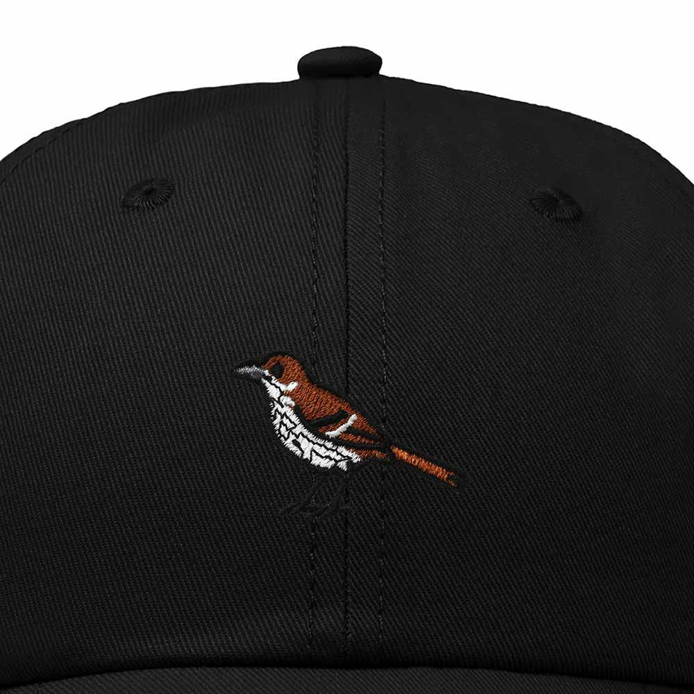 Dalix Brown Thrasher Georgia Embroidered Bird Cotton Baseball Cap Dad Hat Mens Womens Outdoor Summer in Black