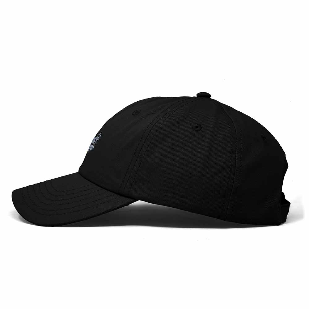 Dalix Delaware Blue Hen Embroidered Bird Cotton Baseball Cap Dad Hat Mens Womens Outdoor Summer in Black