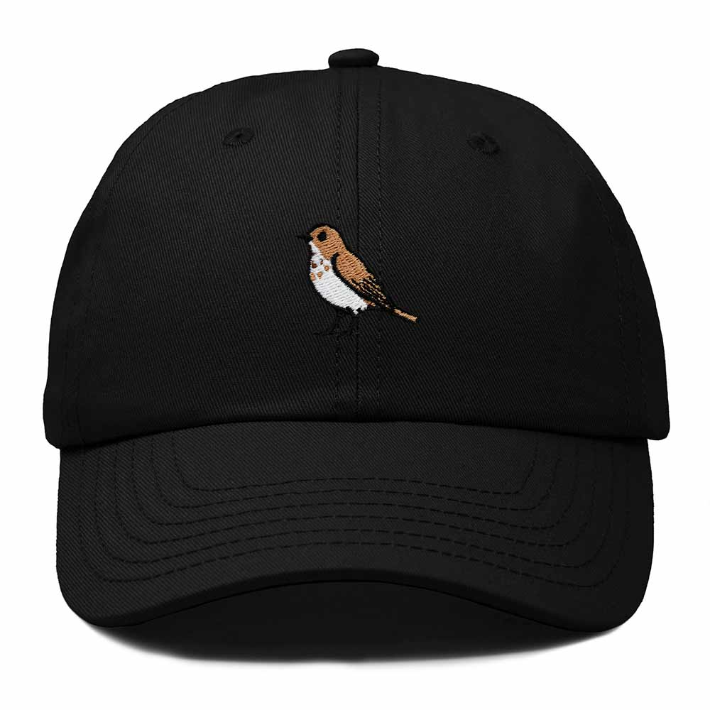 Dalix Hermit Thrush Vermont Embroidered Bird Cotton Baseball Cap Dad Hat Mens Womens Outdoor Summer in Black
