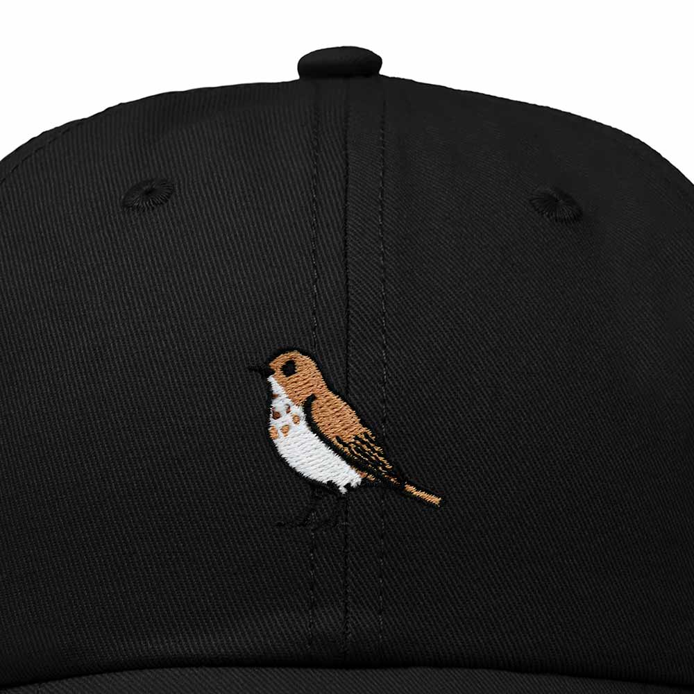 Dalix Hermit Thrush Vermont Embroidered Bird Cotton Baseball Cap Dad Hat Mens Womens Outdoor Summer in Black