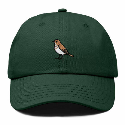 Dalix Hermit Thrush Vermont Embroidered Bird Cotton Baseball Cap Dad Hat Mens Womens Outdoor Summer in Dark Green