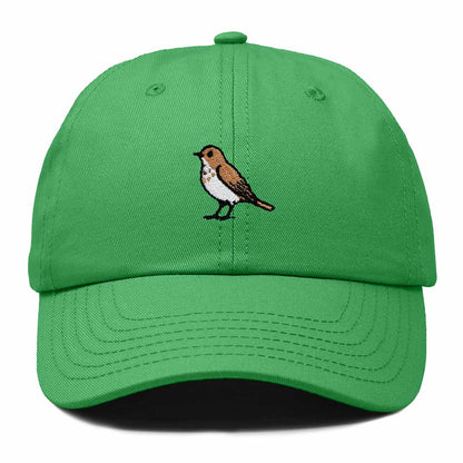 Dalix Hermit Thrush Vermont Embroidered Bird Cotton Baseball Cap Dad Hat Mens Womens Outdoor Summer in Kelly Green