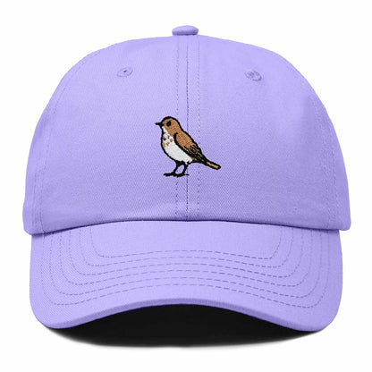 Dalix Hermit Thrush Vermont Embroidered Bird Cotton Baseball Cap Dad Hat Mens Womens Outdoor Summer in Lavender