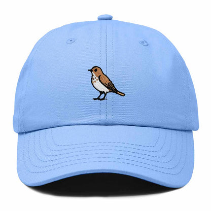 Dalix Hermit Thrush Vermont Embroidered Bird Cotton Baseball Cap Dad Hat Mens Womens Outdoor Summer in Light Blue