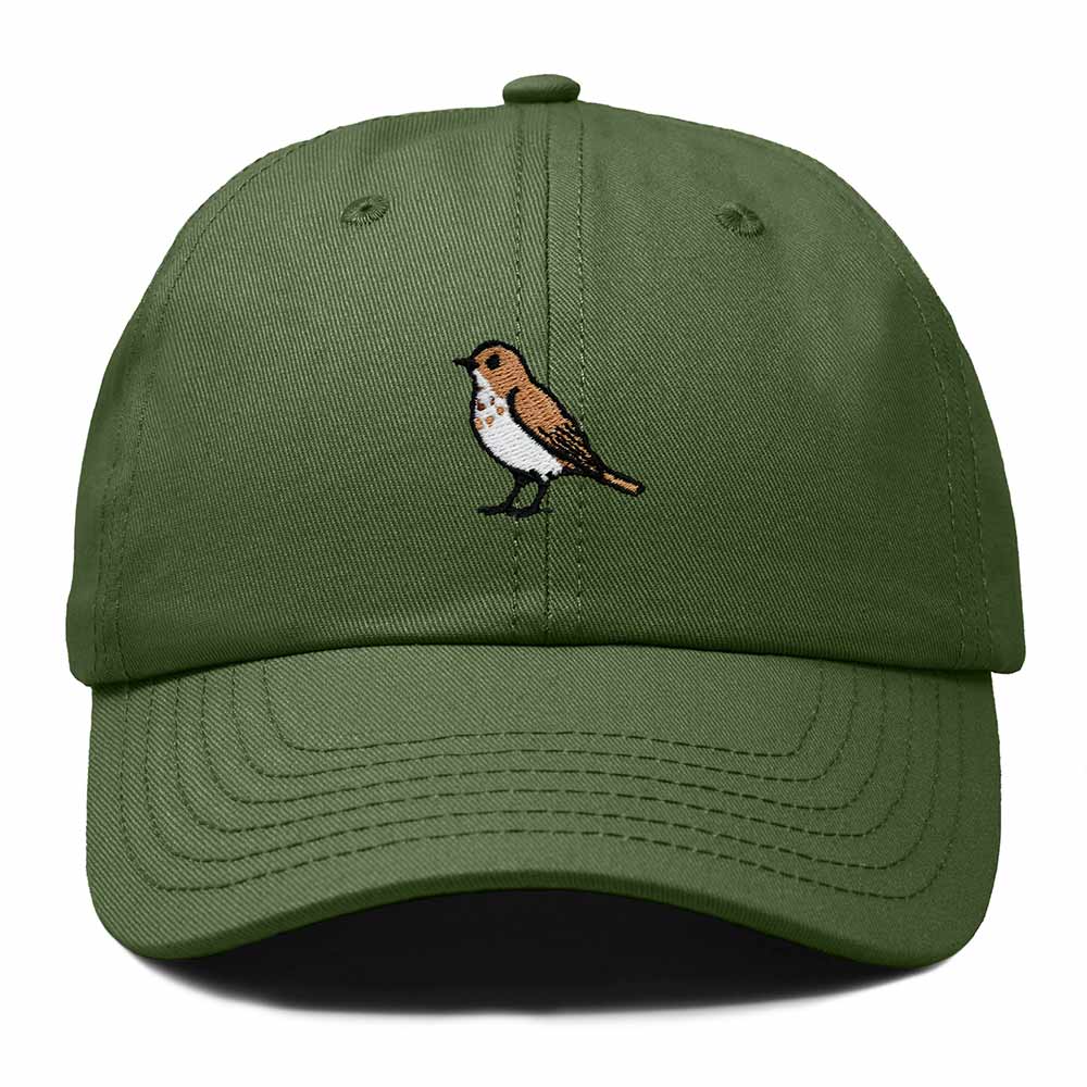Dalix Hermit Thrush Vermont Embroidered Bird Cotton Baseball Cap Dad Hat Mens Womens Outdoor Summer in Olive