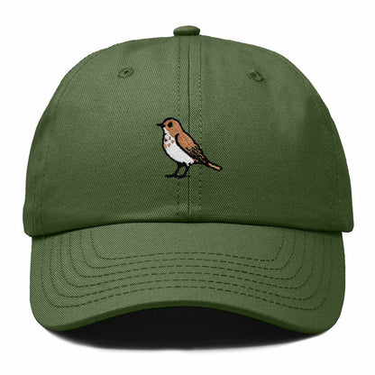 Dalix Hermit Thrush Vermont Embroidered Bird Cotton Baseball Cap Dad Hat Mens Womens Outdoor Summer in Olive