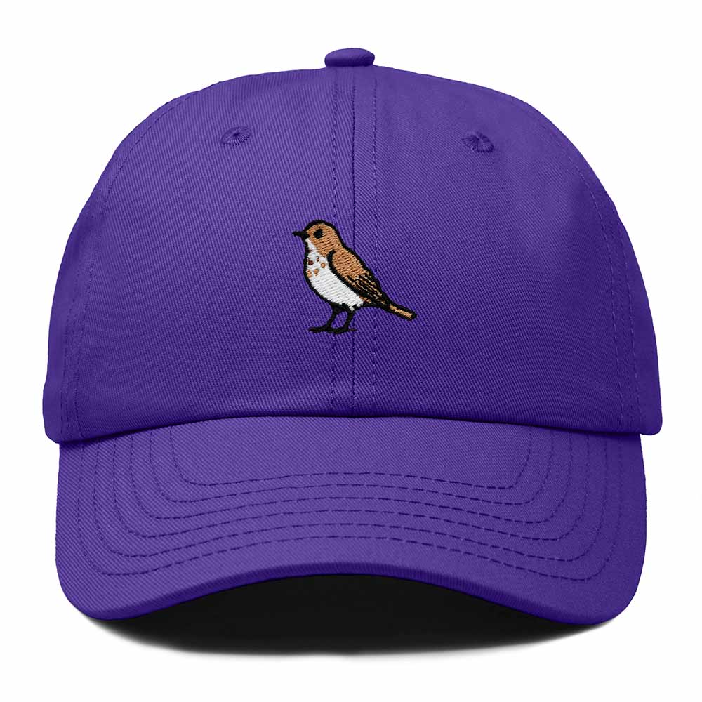 Dalix Hermit Thrush Vermont Embroidered Bird Cotton Baseball Cap Dad Hat Mens Womens Outdoor Summer in Purple