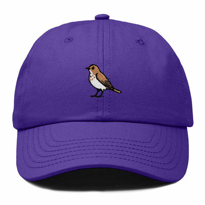 Dalix Hermit Thrush Vermont Embroidered Bird Cotton Baseball Cap Dad Hat Mens Womens Outdoor Summer in Purple