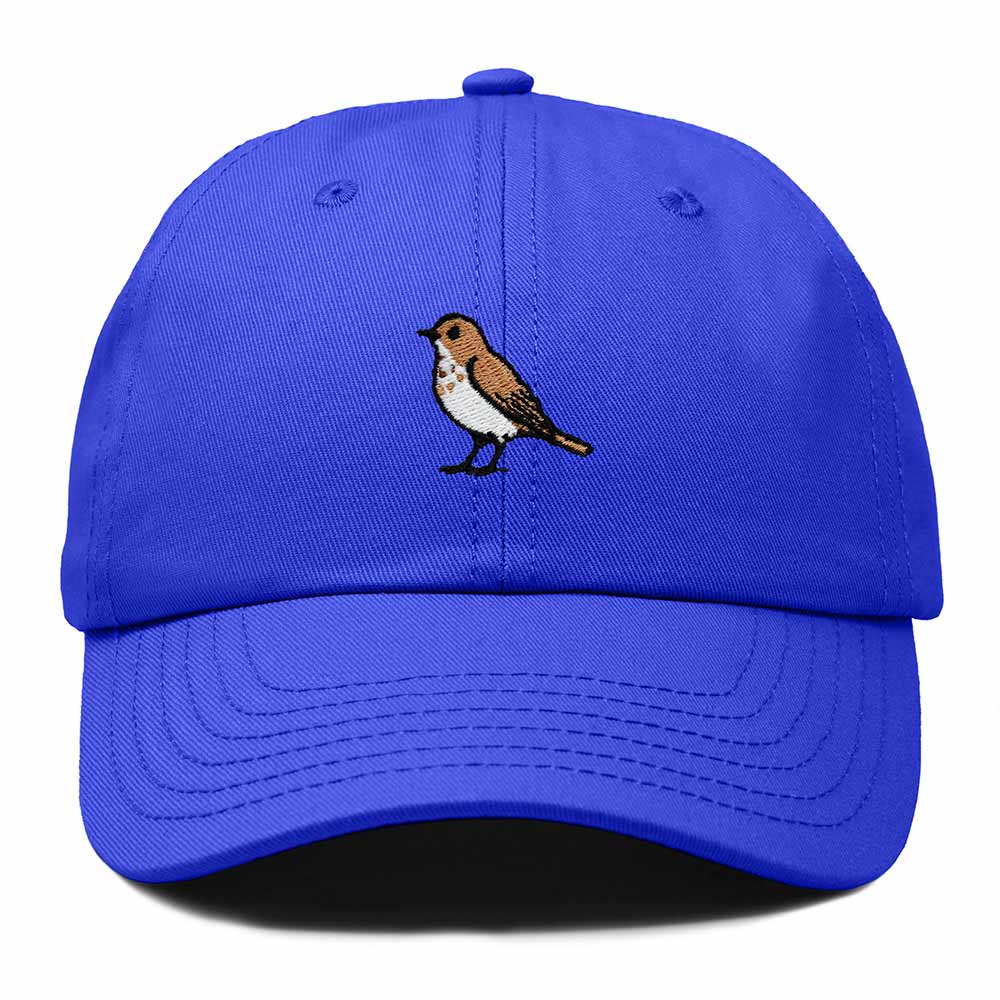 Dalix Hermit Thrush Vermont Embroidered Bird Cotton Baseball Cap Dad Hat Mens Womens Outdoor Summer in Royal Blue
