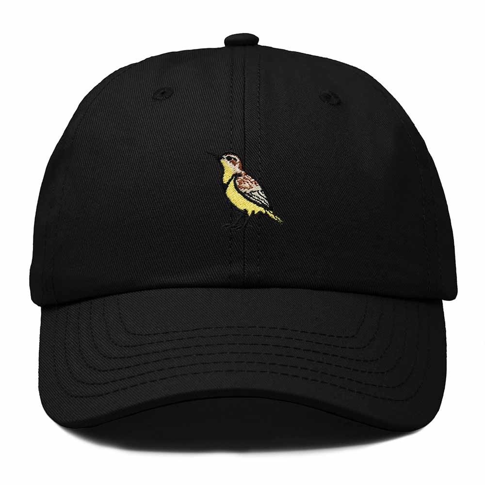 Dalix Western Meadowlark Oregon Embroidered Bird Cotton Baseball Cap Dad Hat Mens Womens Outdoor Summer
 Embroidered Bird Cotton Baseball Cap Dad Hat Mens Womens Outdoor Summer in Black