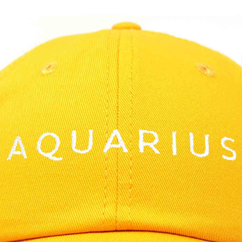 Dalix Aquarius Dad Hat Embroidered Zodiac Astrology Cotton Baseball Cap in Teal