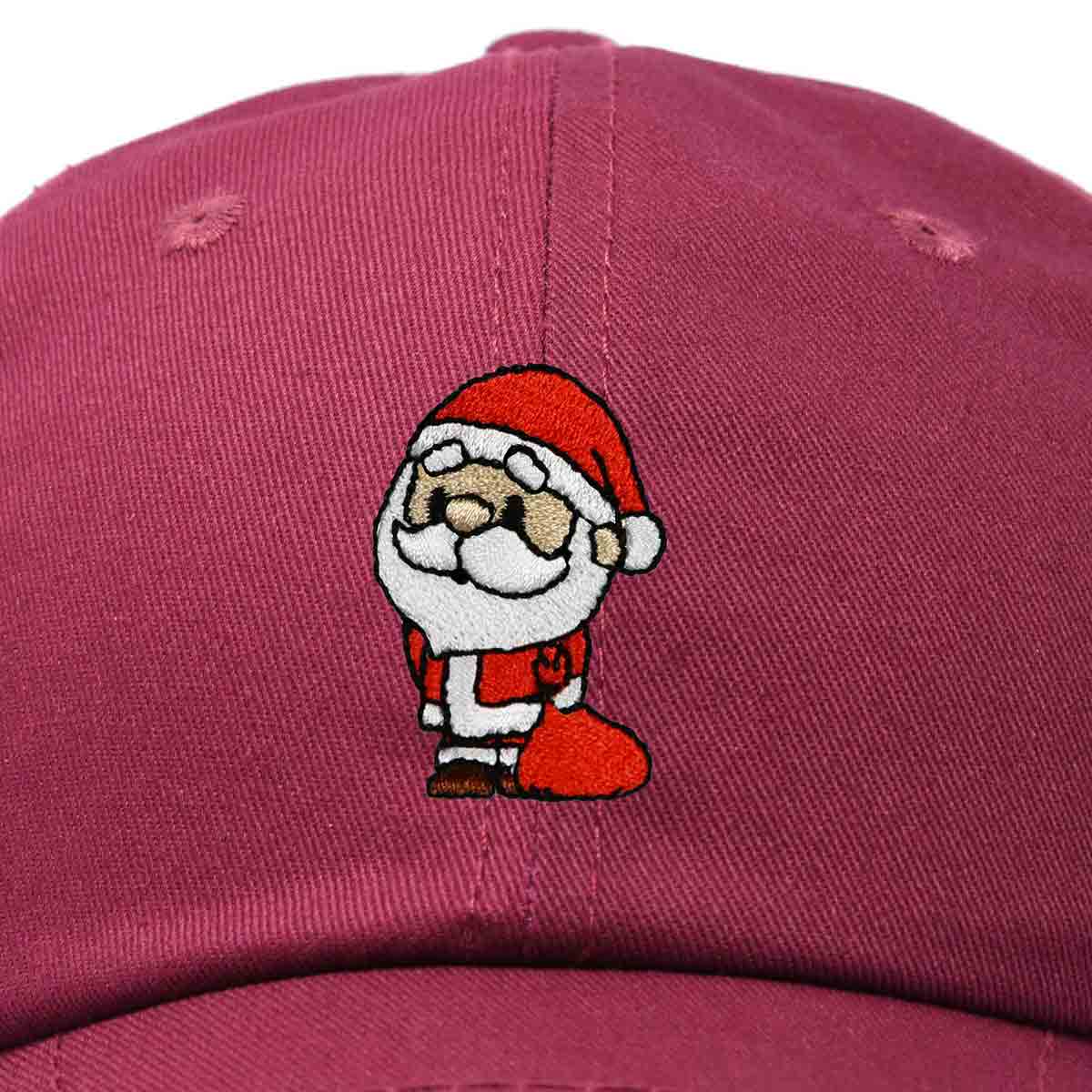 Dalix Santa Claus Hat