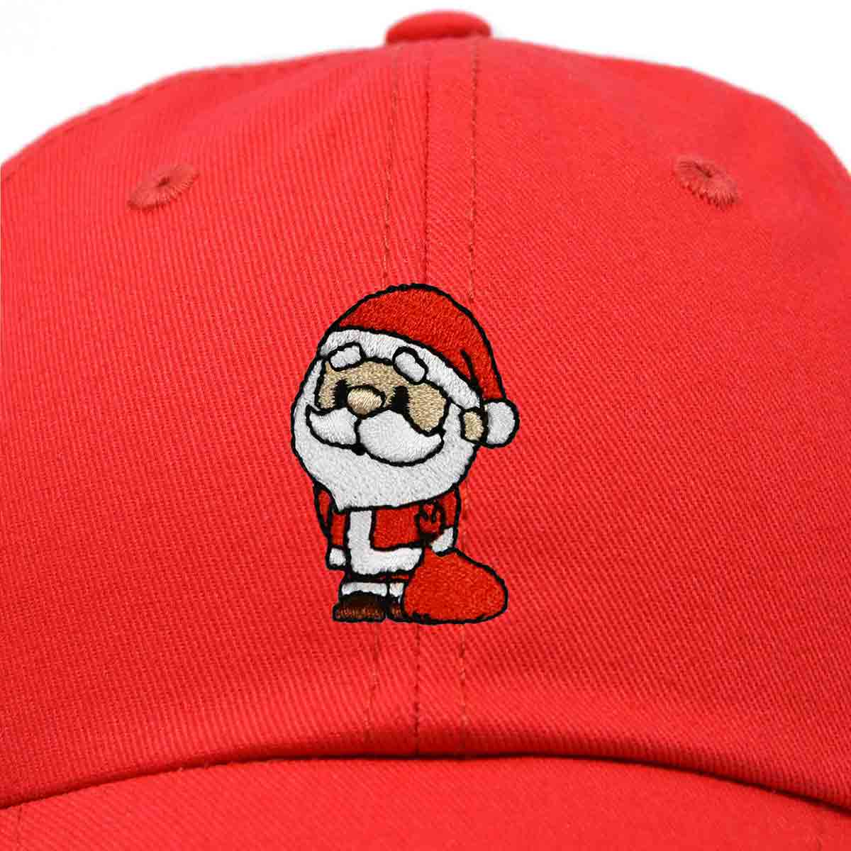 Dalix Santa Claus Hat